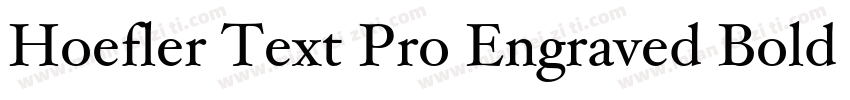Hoefler Text Pro Engraved Bold字体转换
